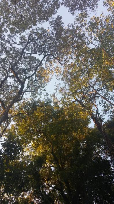 kelta hotel puerto iguazu