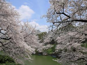 hotel monterey akasaka