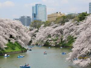 hotel monterey akasaka