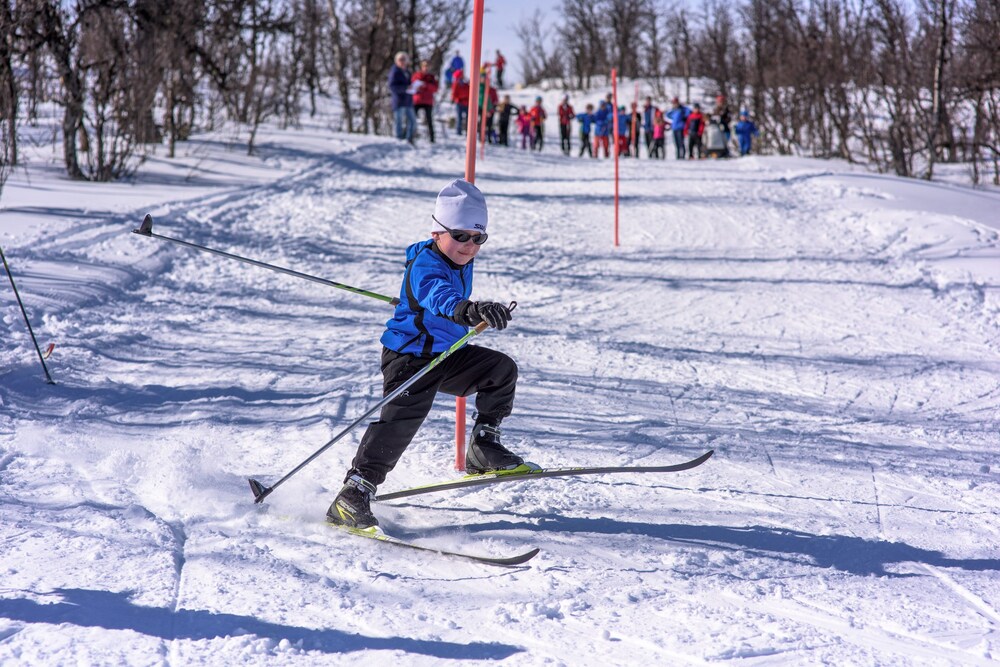 torsetlia fjellstue og hyttegrend