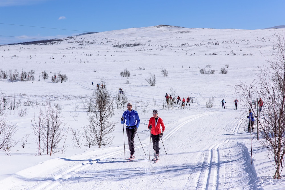 torsetlia fjellstue og hyttegrend