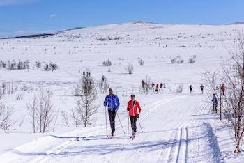torsetlia fjellstue og hyttegrend