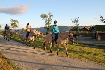 torsetlia fjellstue og hyttegrend
