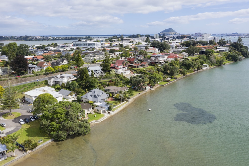 tauranga
