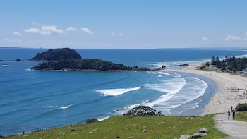 tauranga