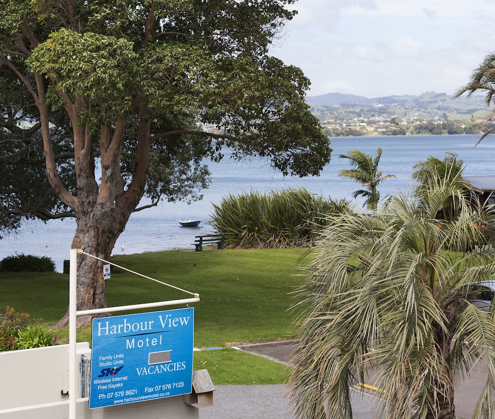 tauranga