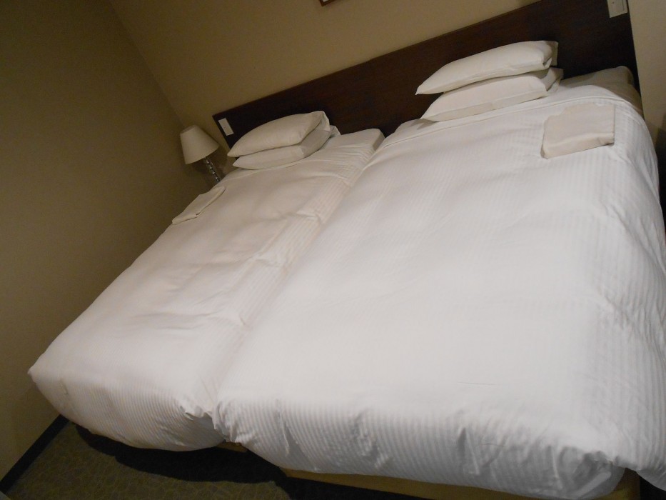 Hotel Crown Hills Sendai Aobadori,Sendai>>Miyagi,3 star