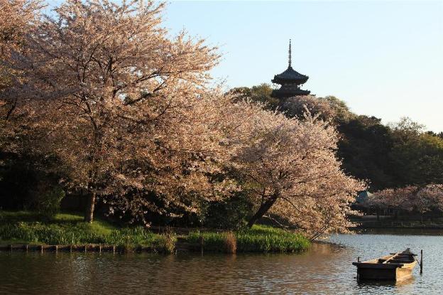 hotel mystays yokohama