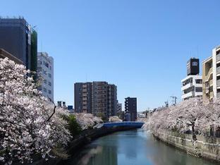 hotel mystays yokohama