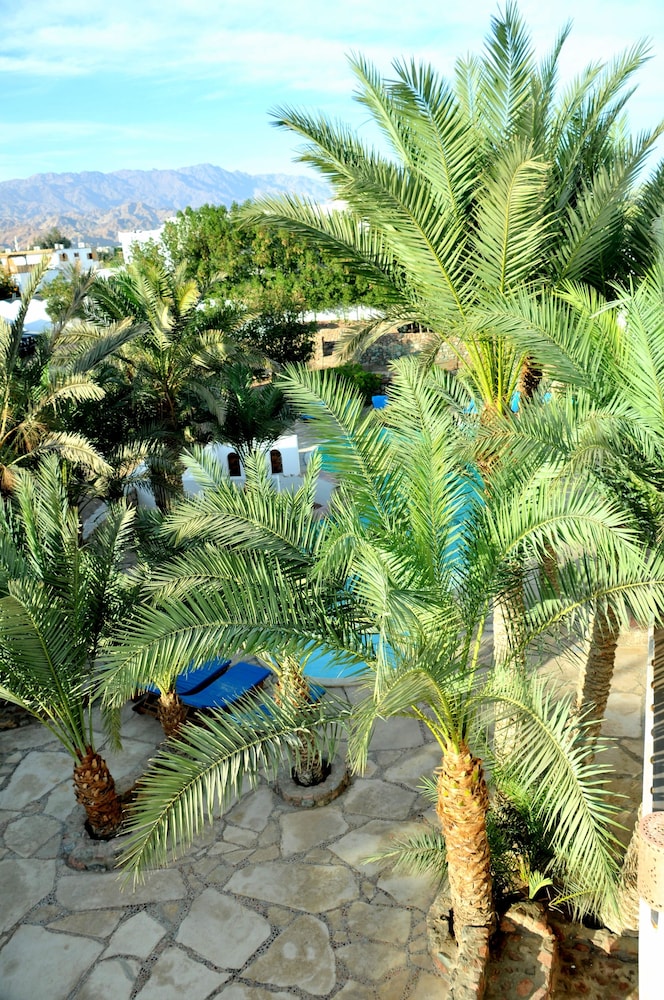 dahab