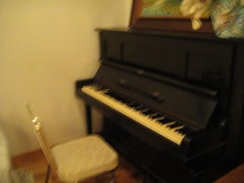 kurhaus ishibashi ryokan