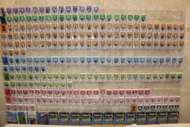 toyoko inn kagoshima temmonkan no 2