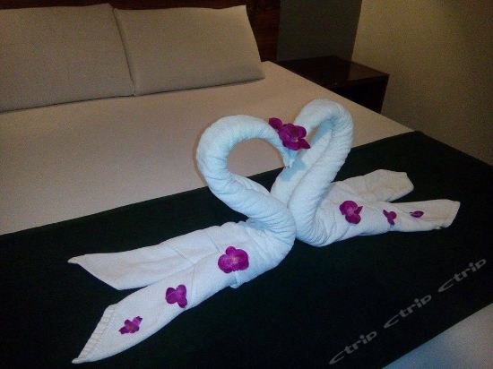 toilena room and board