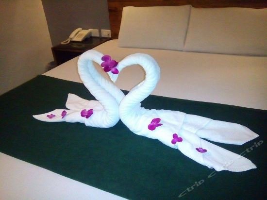 toilena room and board