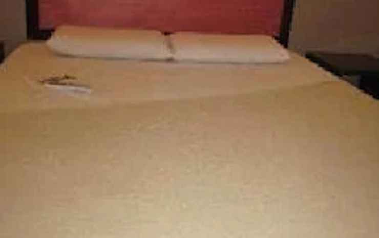 toilena room and board