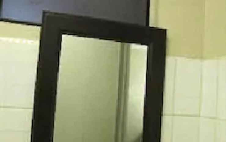 toilena room and board