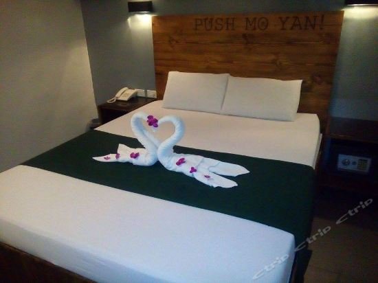 toilena room and board