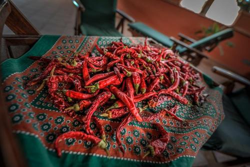 hotel piccolo di corduneanu aurora