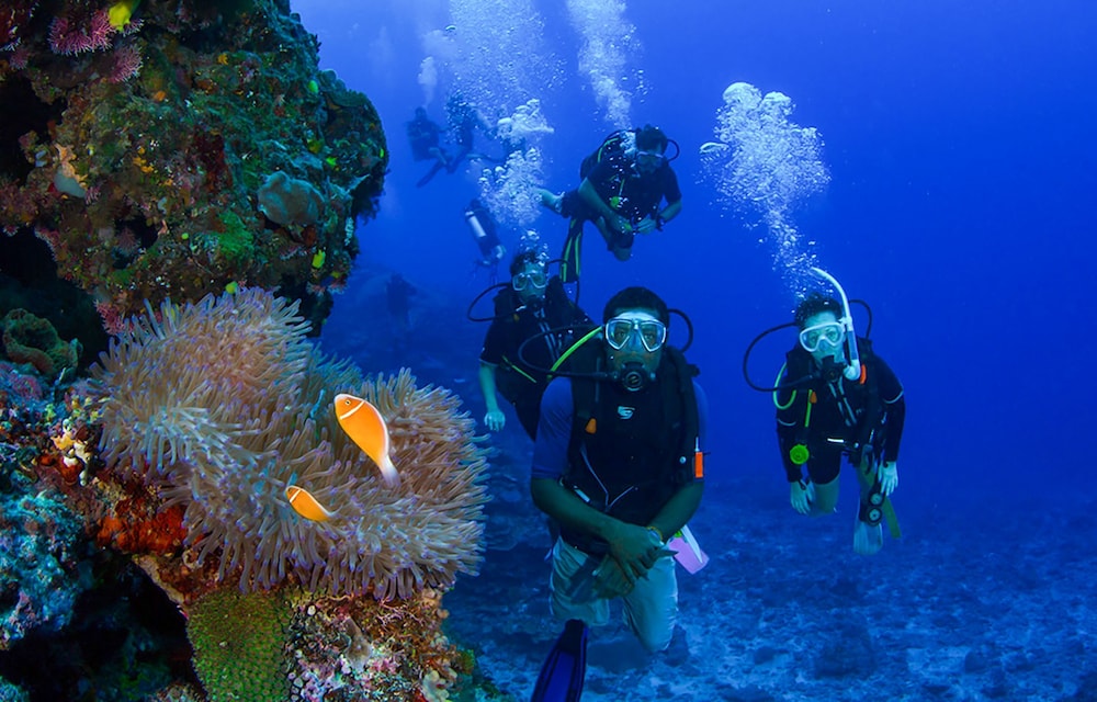 barefoot kuata island resort fiji