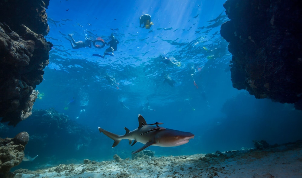 barefoot kuata island resort fiji