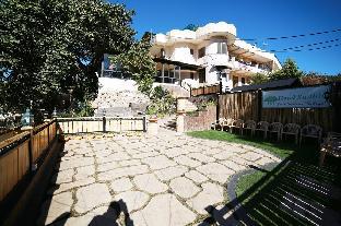 mount abu