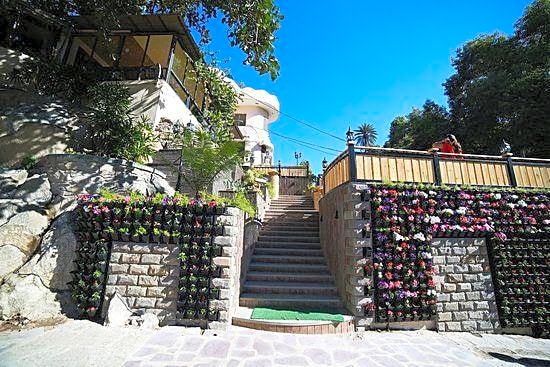 mount abu