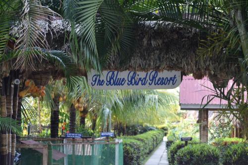 blue bird resort