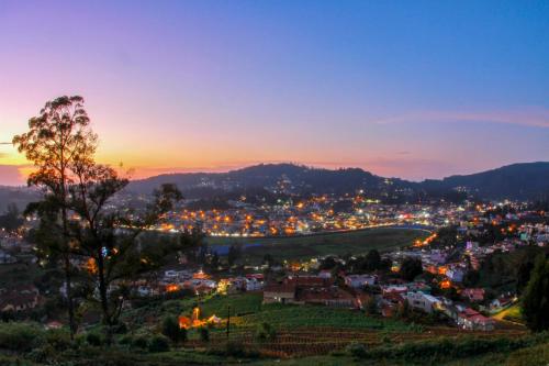 ooty