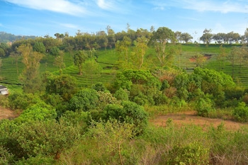 dream land hill residency