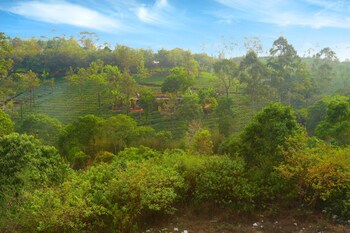 dream land hill residency