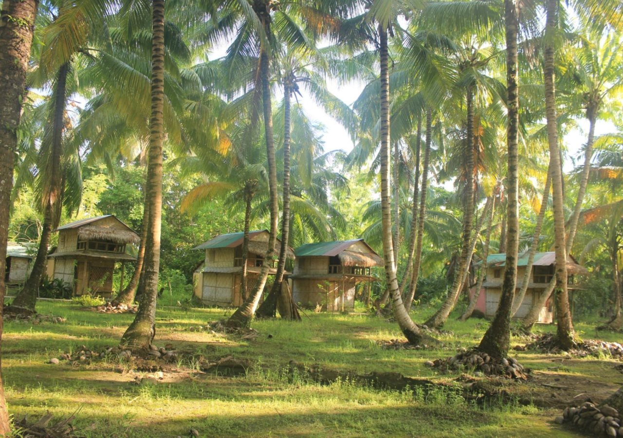 Pristine Beach Resort - Diglipur,Kalipur Beach,3 star