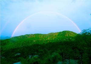 Hotel 47 Hill,Near Basheshwar Mahadev Temple,3 star