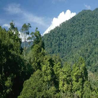 siyava valley resort