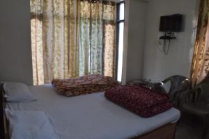 palampur