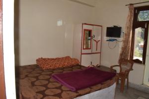 palampur
