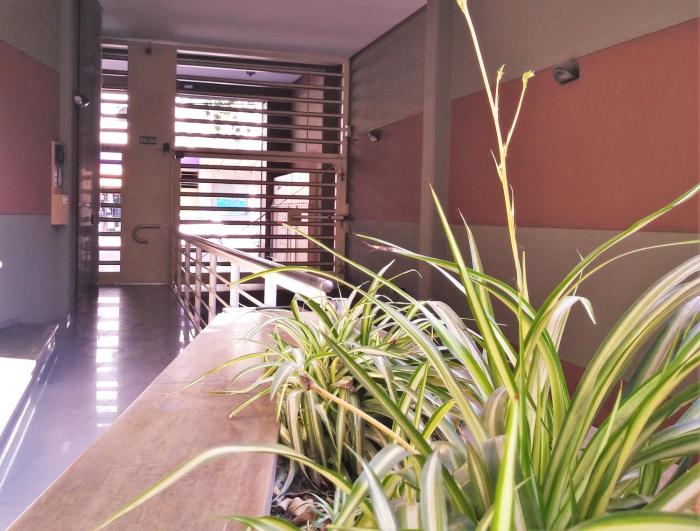 apartamentos mendoza