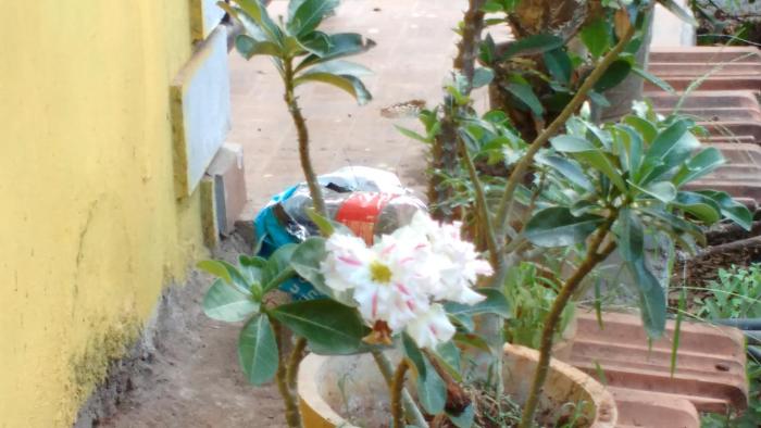 aguiar guest house