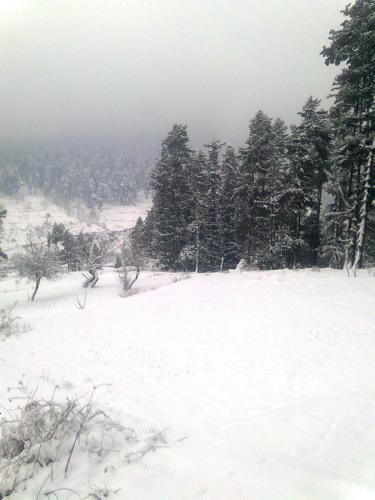 pahalgam