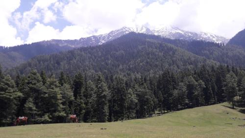 pahalgam