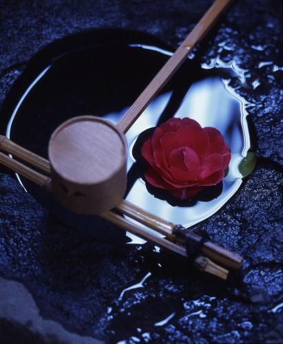 tsubakikan