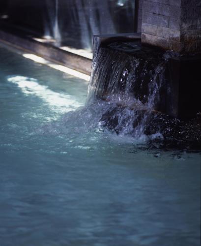 tsubakikan
