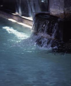 tsubakikan