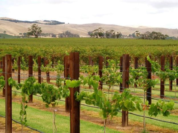 barossa country cottages