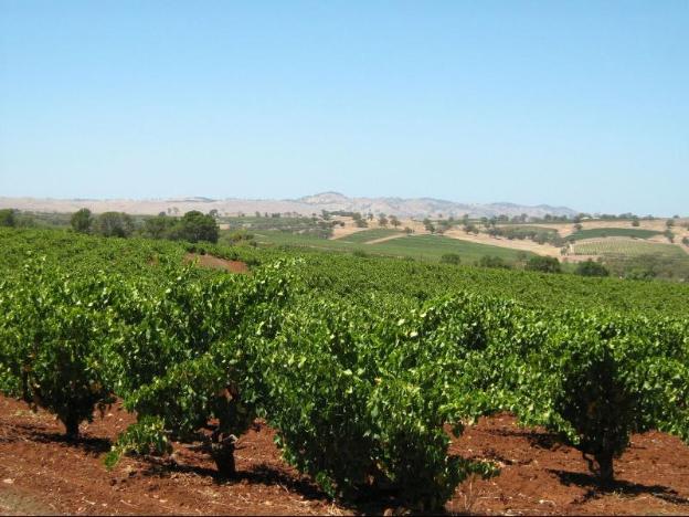 barossa country cottages