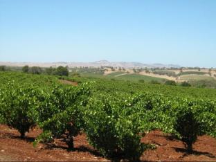 barossa country cottages