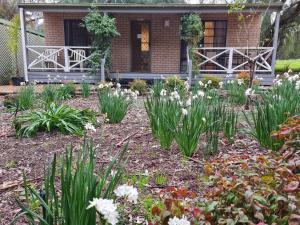 barossa country cottages
