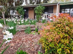 barossa country cottages