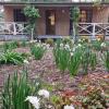 barossa country cottages