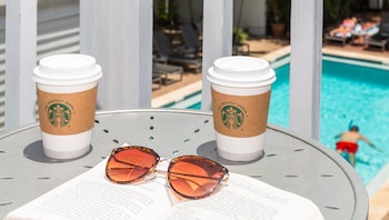 nyah key west adults only