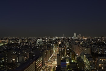sotetsu fresa inn higashi shinjuku